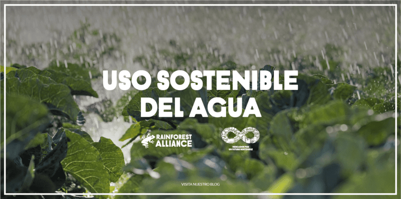 Uso Sostenible del Agua